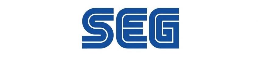 Esenyurt Seg TV logo