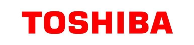 Darıca Toshiba TV logo